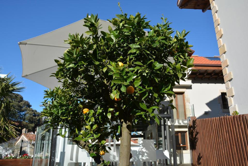 Hotel Tinas De Pechón Extérieur photo